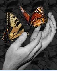 Photo of Irena B.