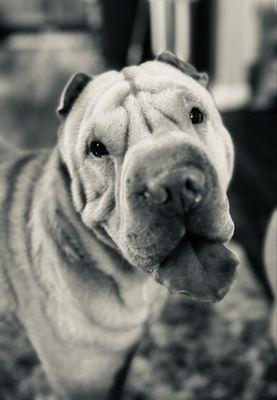 photo of Michelle M.