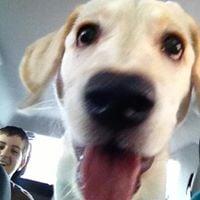 photo of Jennifer M.