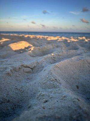 photo of Christian T.