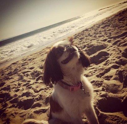 photo of Benjamin A.