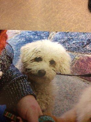 photo of Kathleen S.