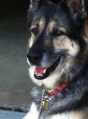 photo of Isabelle S.