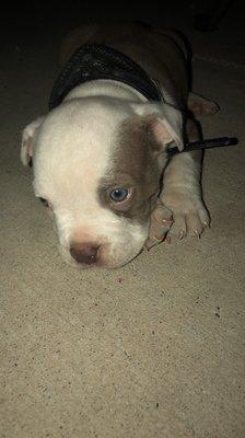 photo of Madeline R.