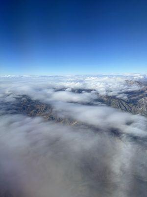 photo of Stephanie M.