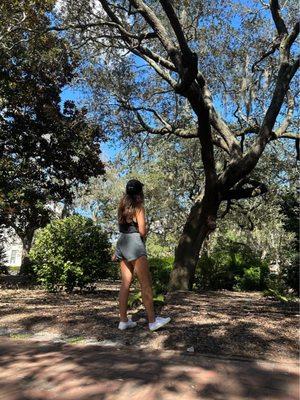 Photo of Nickie L.