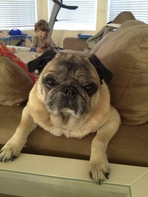 photo of Christine A.