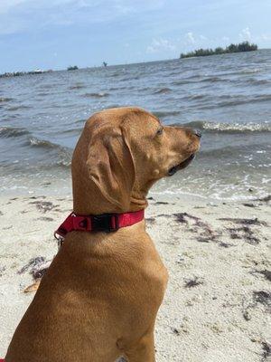 photo of Charlotte S.