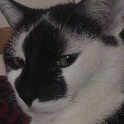 photo of Phoebe's I.