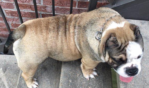 photo of Asdruval O.