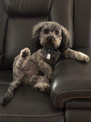 Photo of Kebby T.