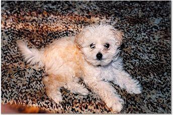 photo of Bernadette D.