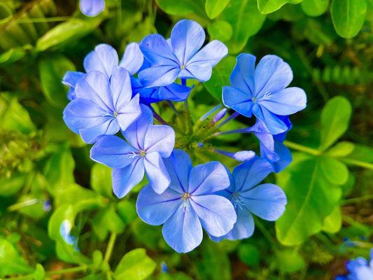 photo of Caroline S.