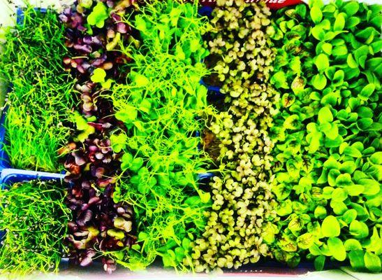 photo of Brittney D.