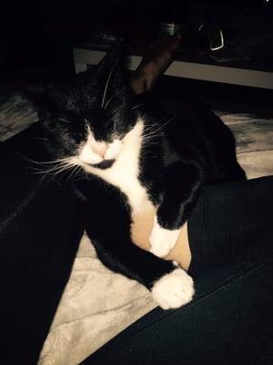 photo of Alexandra S.