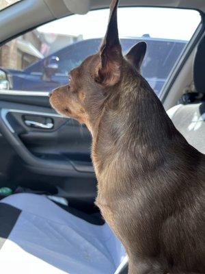 photo of Guillermo G.