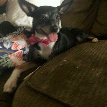 photo of Lori Sell Y.