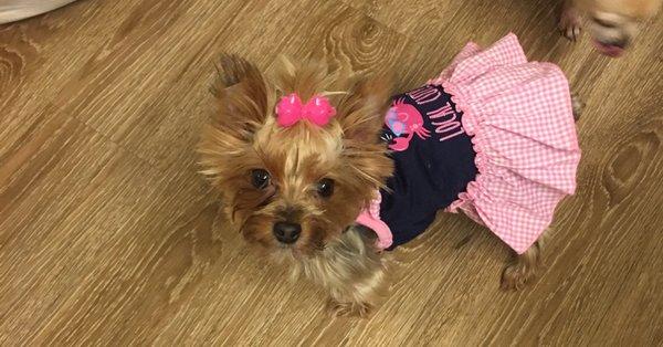 photo of Lorraine T.