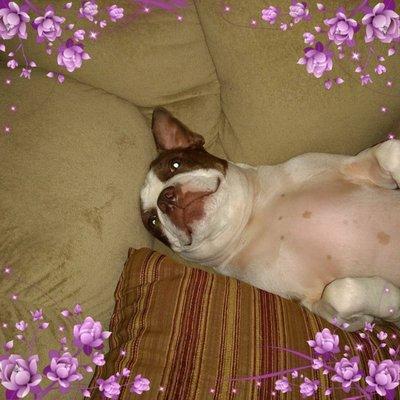 photo of Michelle J.