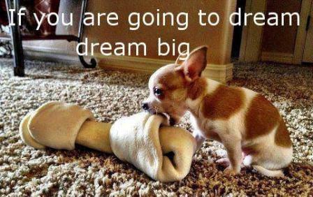 photo of Jennifer S.