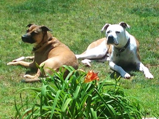 photo of Jennifer D.