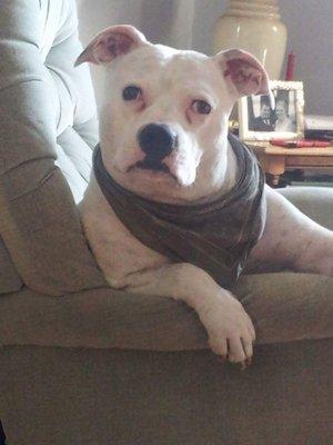 Photo of Jill H.