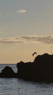 photo of Leektphi ..