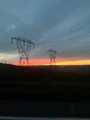 Photo of Giuliana O.