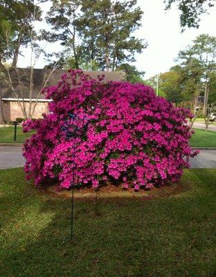 photo of Christine P.