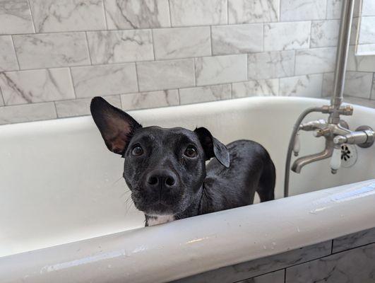 photo of Caroline A.