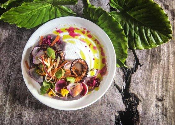 photo of Meredith M.