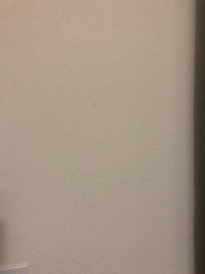 Photo of X X.