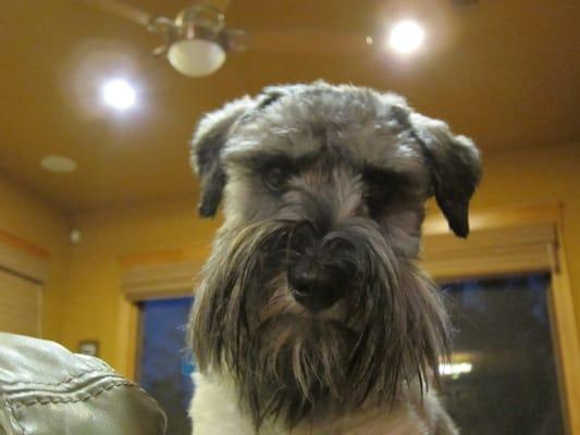 Photo of texastwoe t.