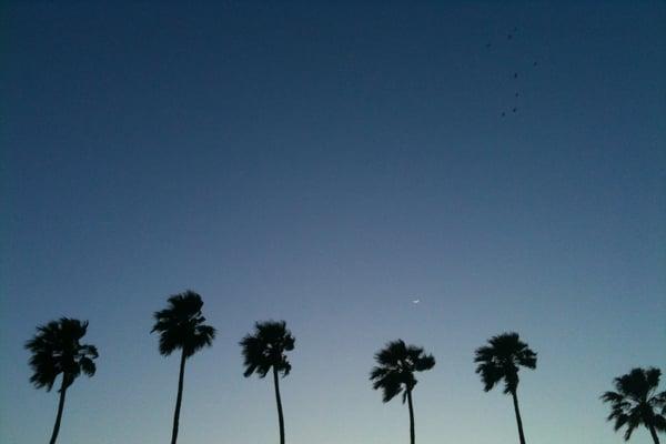 photo of Ginie SunY L.