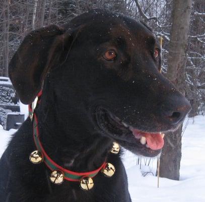 photo of Charlestown mommie x.