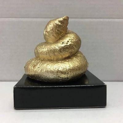 photo of A Polished Turd I.