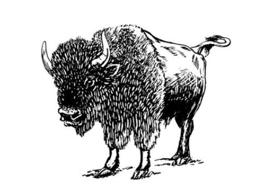 photo of Cynthia At B.