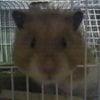 Photo of Gina G.