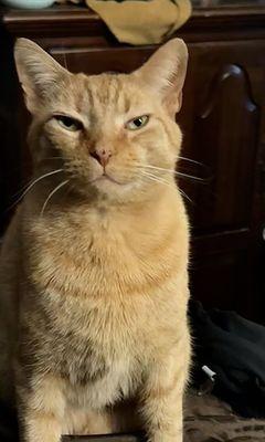 photo of Gabrielle C.