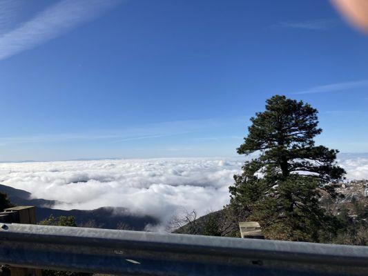 photo of Alex.Slaws _.