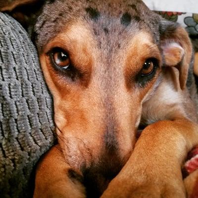 photo of Courtenay B.