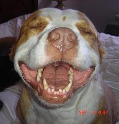 Photo of Dichele S.