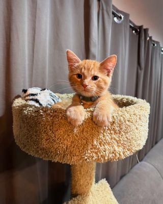 photo of Stephanie M.