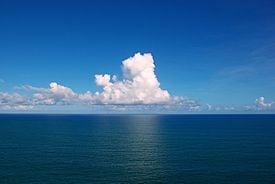 Photo of Brittany A.