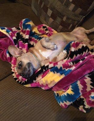 photo of Rosemarie B.