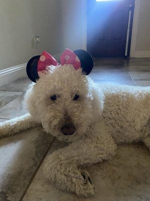 Photo of Brittany A.