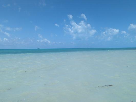 photo of Alejandro H.