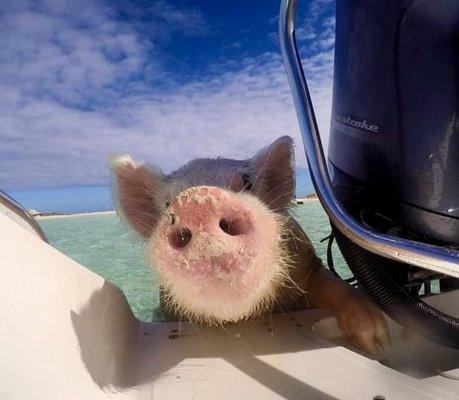 photo of Catherine P.