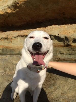 photo of Stephanie N.