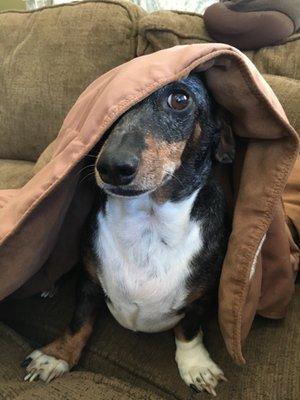 photo of Obi-Wan K.